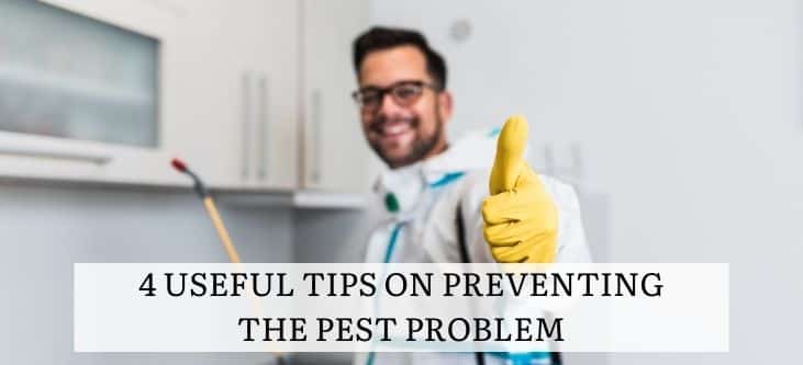 4 useful tips on preventing the pest problem